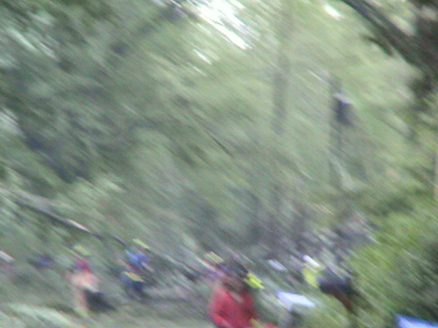 Image 42 of 87  -  107 kB