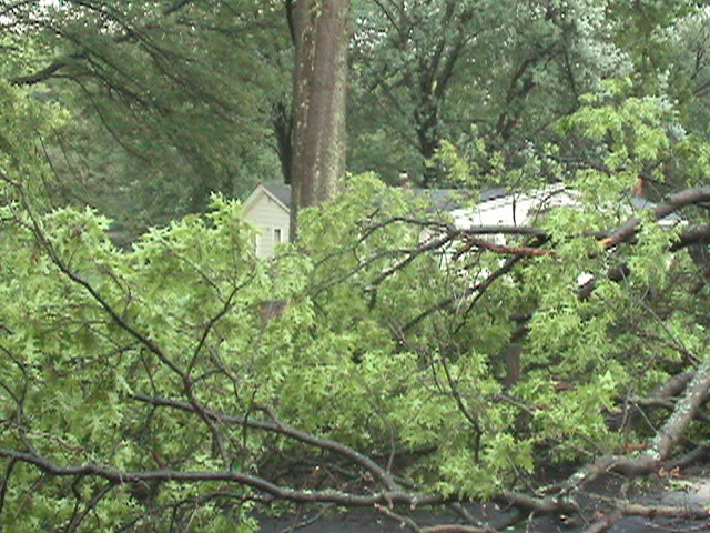 Image 74 of 87  -  147 kB